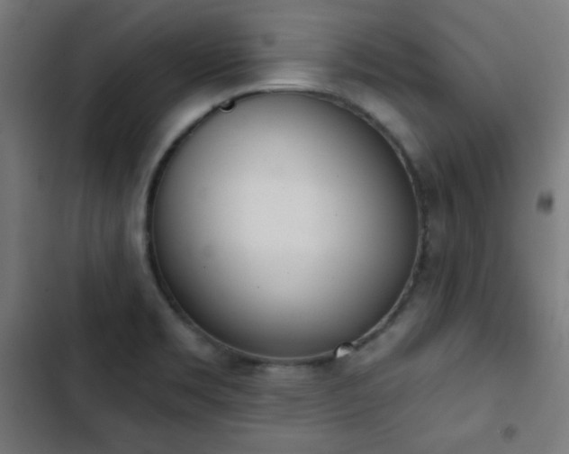 X0000103441469200809121351