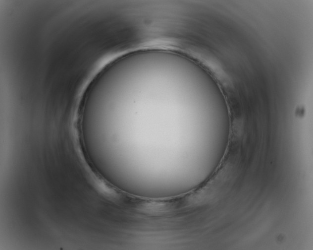 X0000103441470200809121351