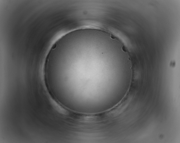 X0000103441471200809121351