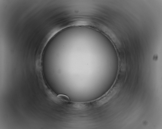 X0000103441473200809121351