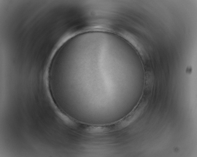 X0000103441474200809121351