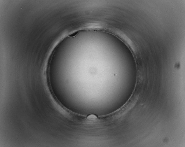 X0000103441475200809121351