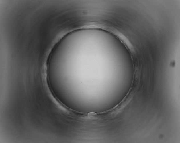 X0000103441476200809121351