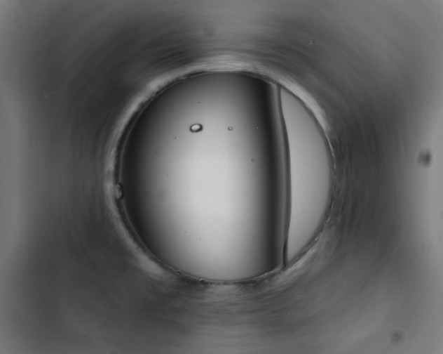 X0000103441477200809121351