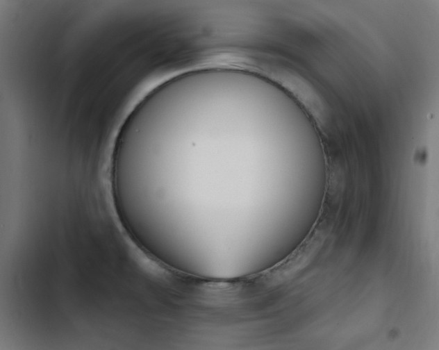 X0000103441478200809121351