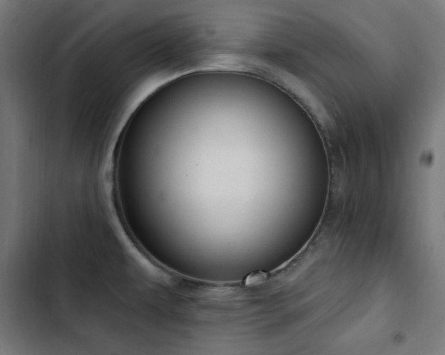 X0000103441479200809121351