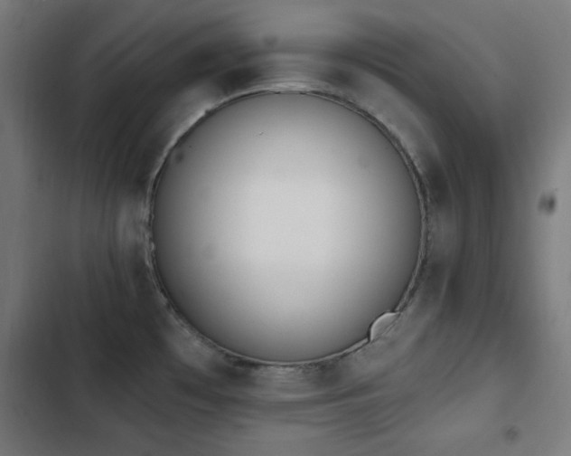 X0000103441481200809121351