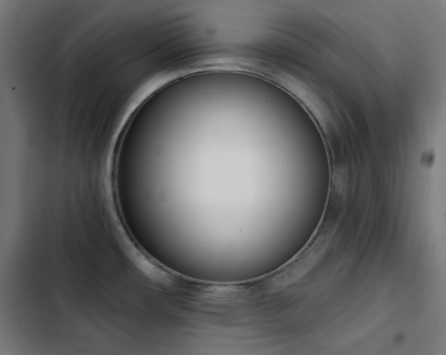 X0000103441482200809121351