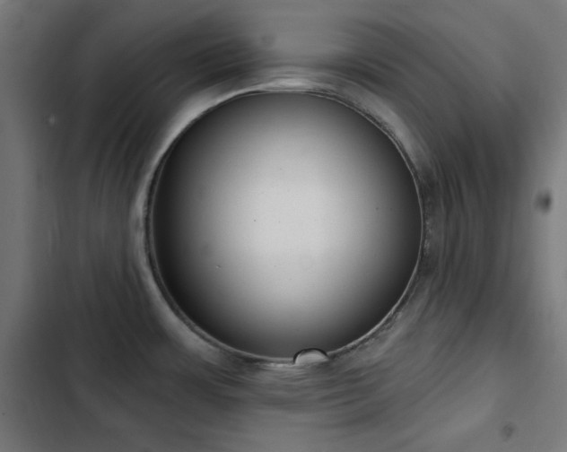 X0000103441483200809121351