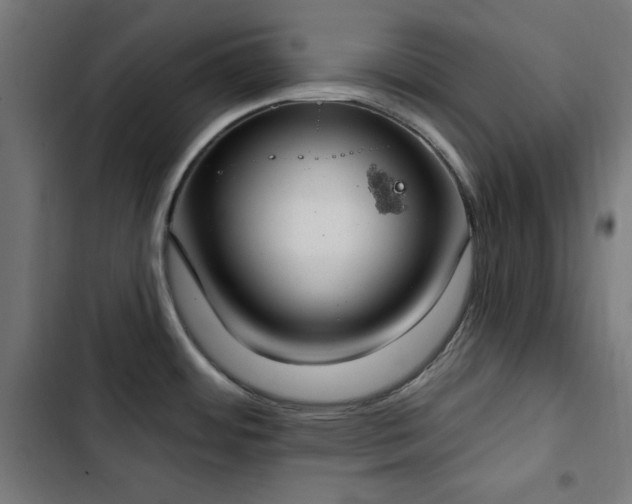 X0000103441484200809121351