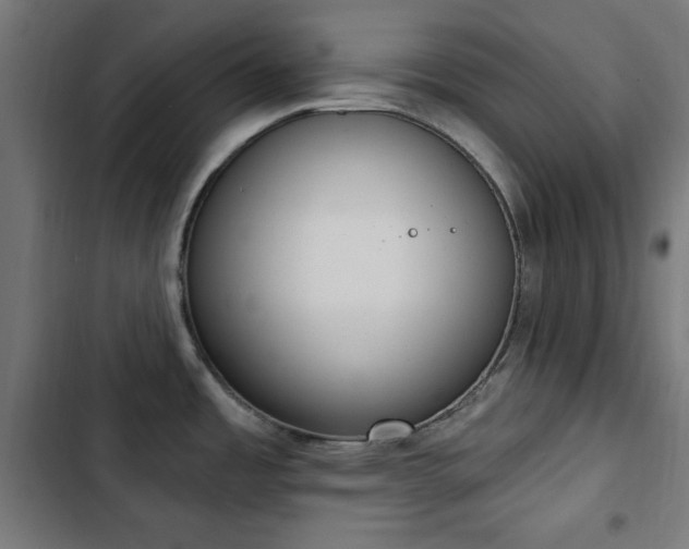 X0000103441485200809121351