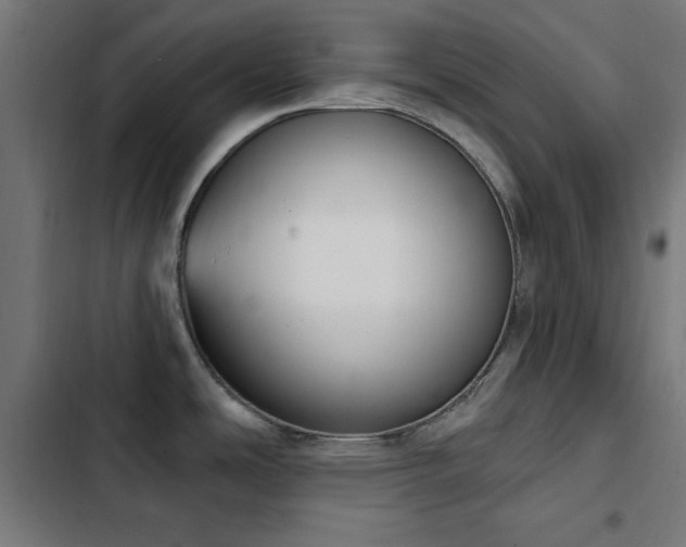 X0000103441486200809121351