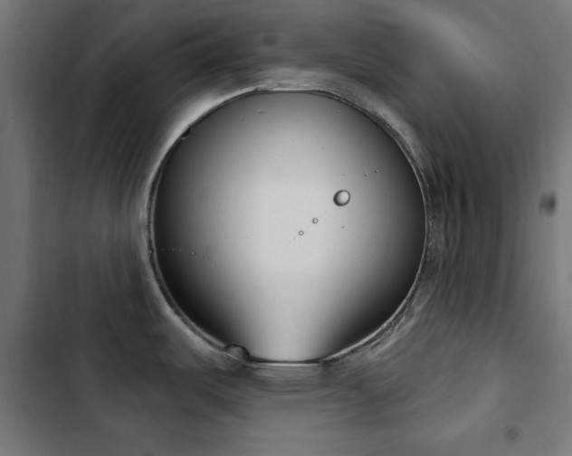 X0000103441487200809121351