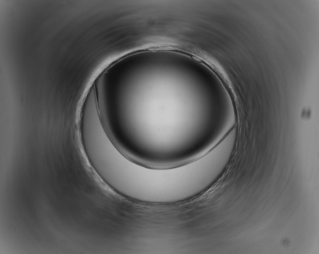 X0000103441488200809121351