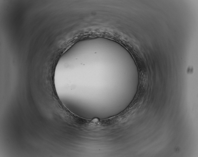 X0000103441489200809121350