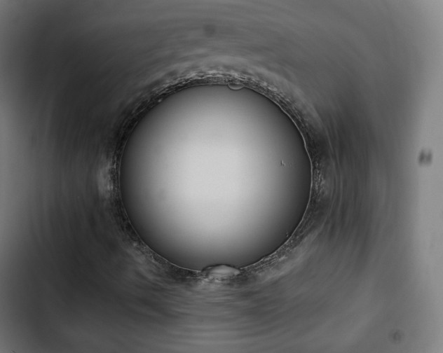 X0000103441490200809121350