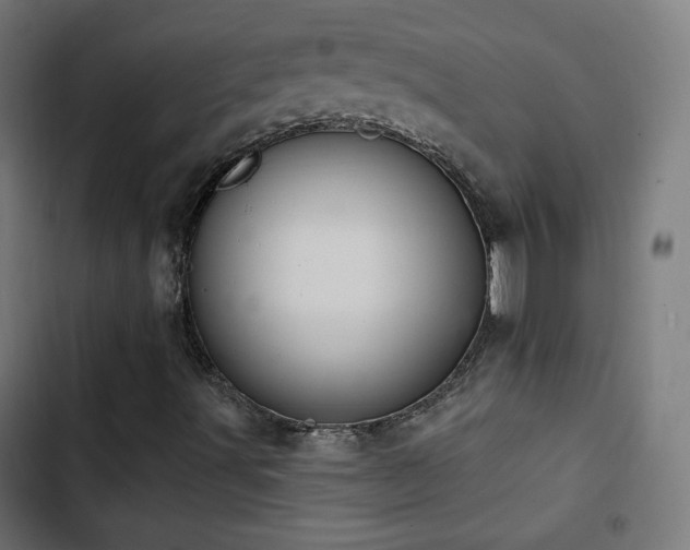 X0000103441491200809121350