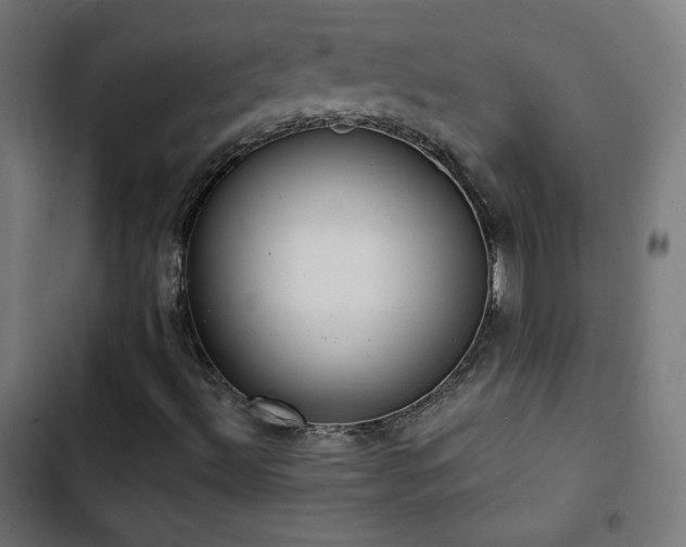 X0000103441492200809121350
