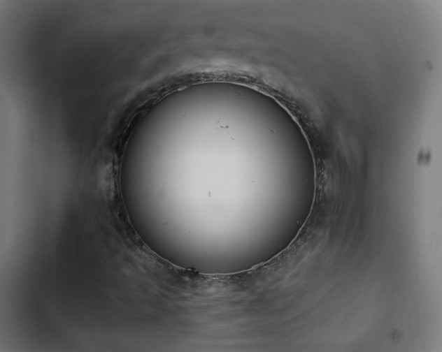 X0000103441493200809121350
