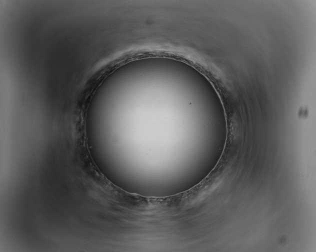 X0000103441494200809121350