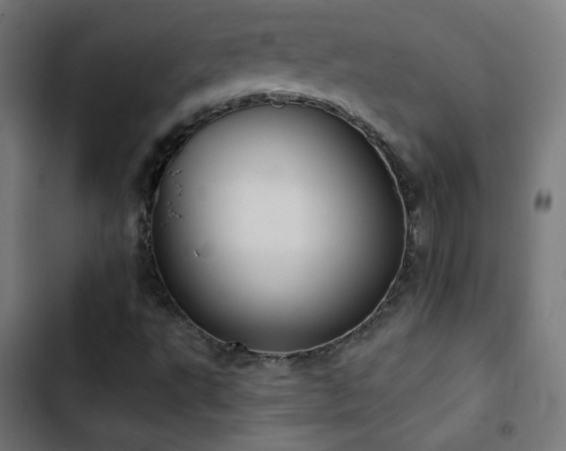 X0000103441495200809121350