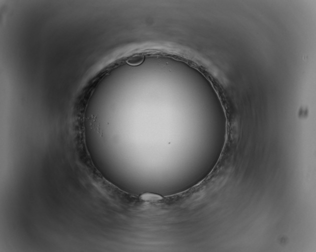 X0000103441496200809121350