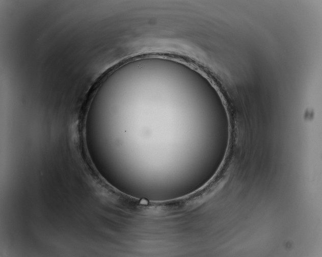 X0000103441497200809121350