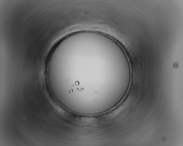 X0000103441498200809121350