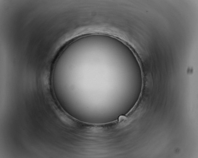 X0000103441499200809121350