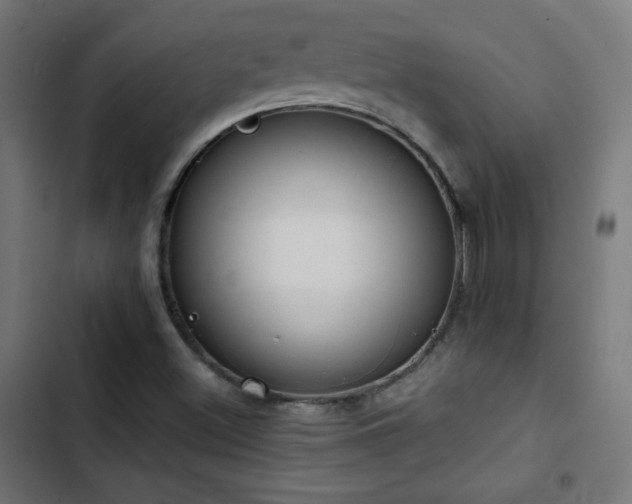 X0000103441500200809121350