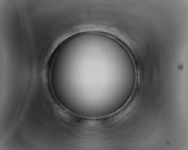 X0000103441501200809121350