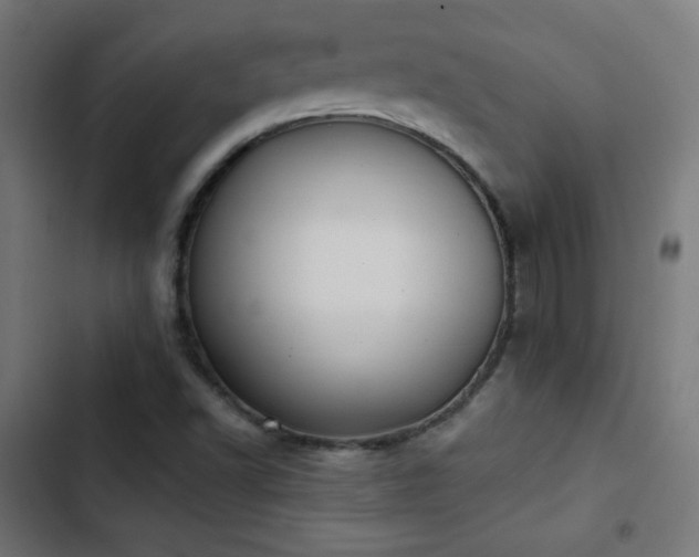 X0000103441502200809121350