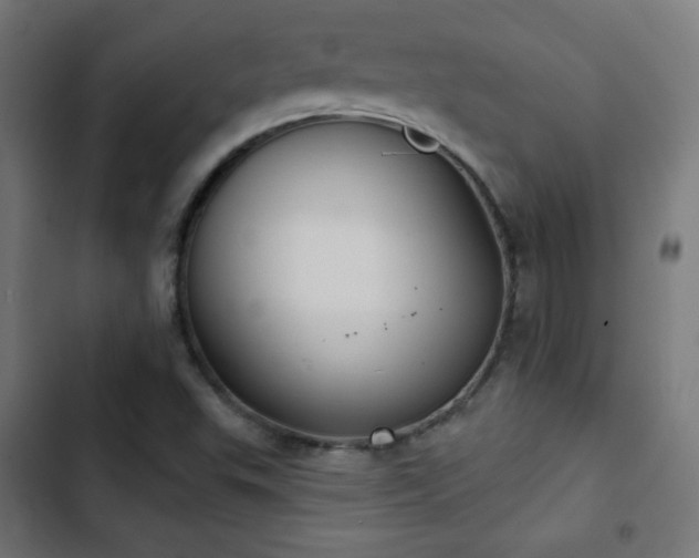 X0000103441503200809121351