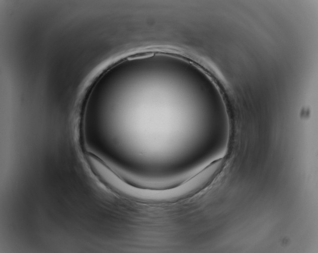 X0000103441504200809121351