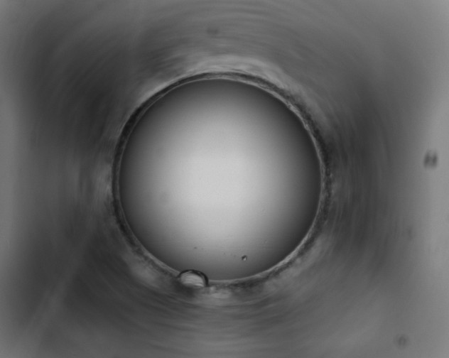 X0000103441505200809121351