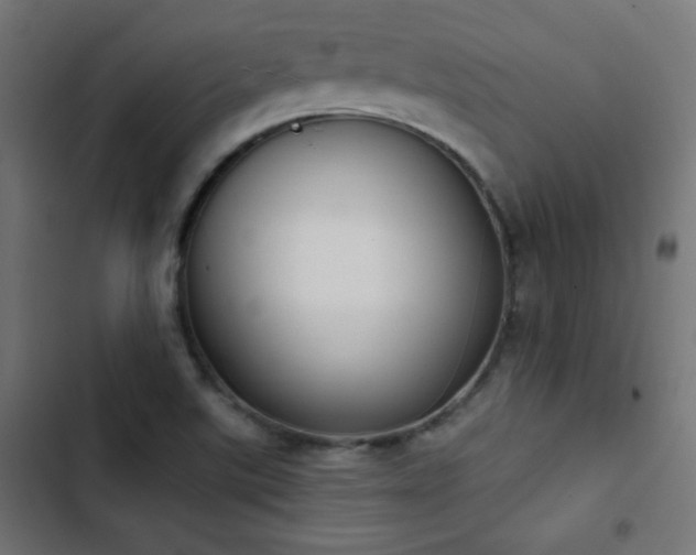 X0000103441507200809121351