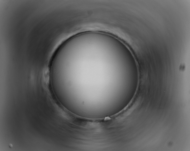 X0000103441509200809121351