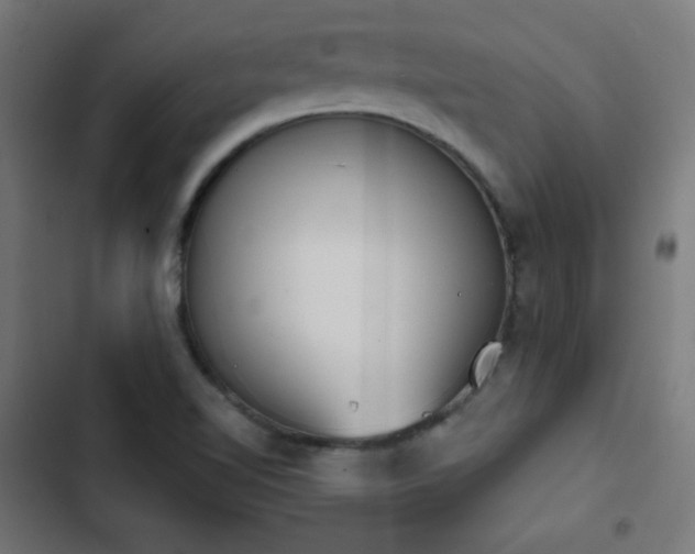 X0000103441510200809121351