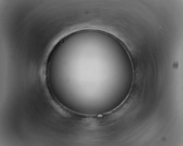 X0000103441511200809121351
