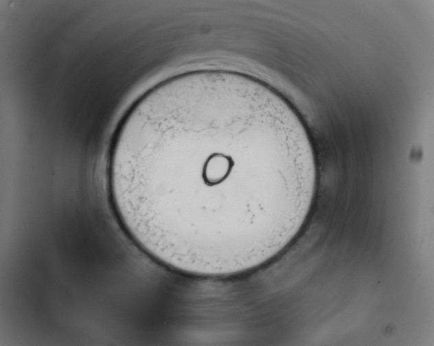 X0000103441514200809121351