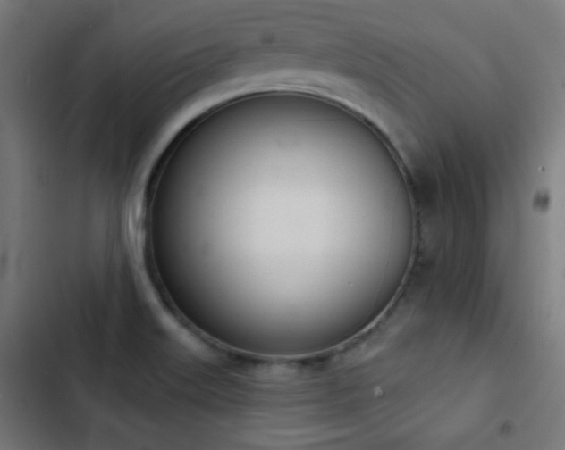 X0000103441515200809121351