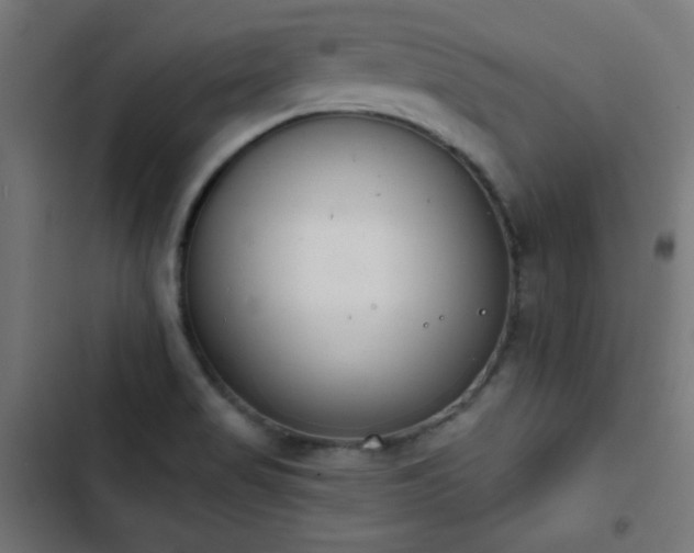 X0000103441517200809121351