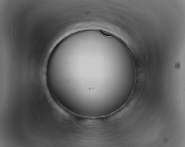 X0000103441518200809121351