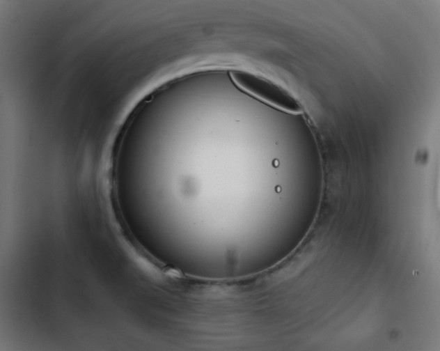 X0000103441519200809121351