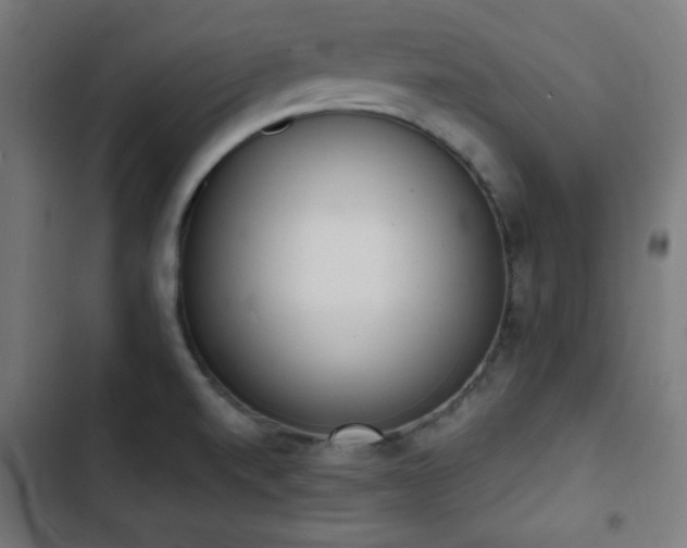 X0000103441520200809121351