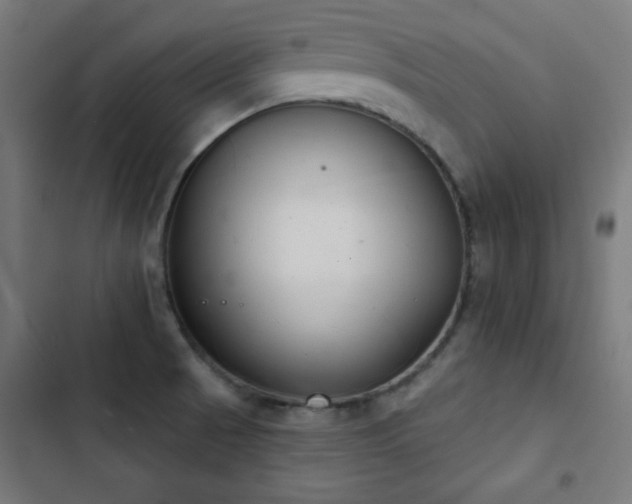 X0000103441521200809121351