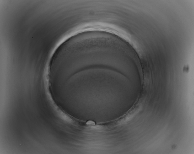 X0000103441522200809121351