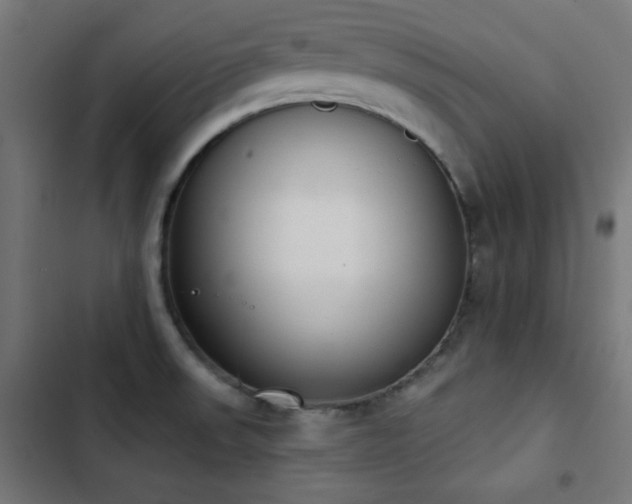 X0000103441523200809121351