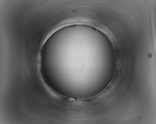 X0000103441524200809121351