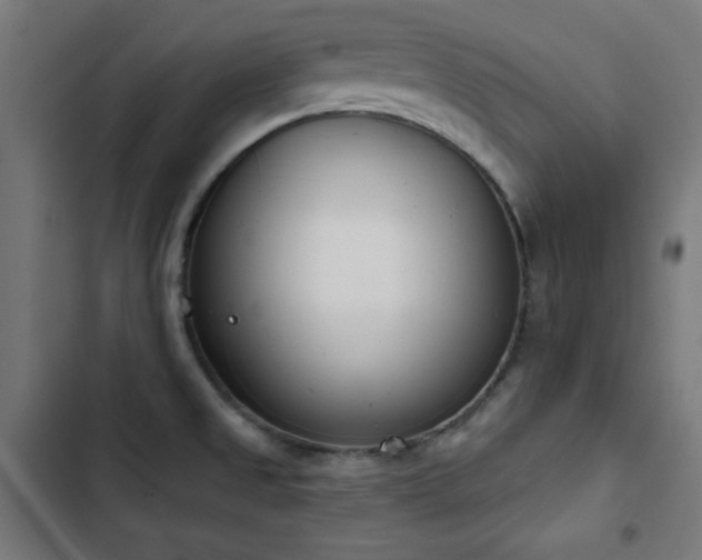 X0000103441525200809121351